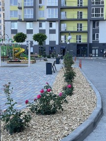 Одеська область, Лиманка