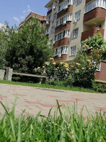 Одеська область, Крижанівка