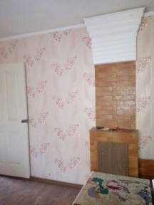 Продам дом в селе Павлинка