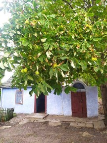 Продам будинок на узбережжі Тилігульського лиману