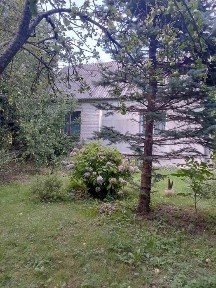 Будинок в оренду, 2 кімнати! Ремонт! 6сот! 10.000грн+ кп!