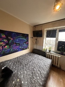 Дніпропетровська область, Дніпро, Центральний