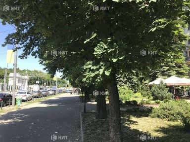 Харківська область, Харків, Київський