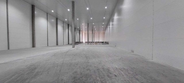 Київська область, Велика Олександрівка