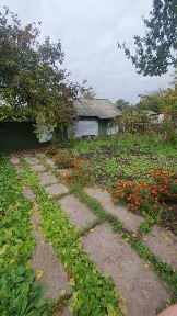 Продам будинок в центрі міста.