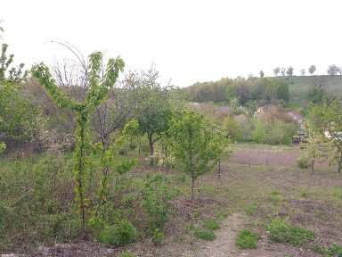 Продаж будинку в Обухові, р-н Кринична.