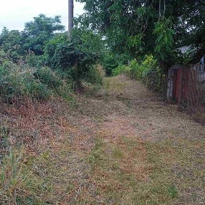 Здамо в оренду або продамо житлові будинки