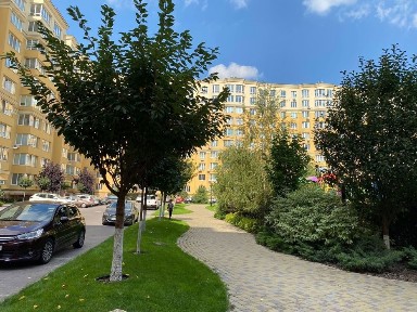 Київська область, Софіївська Борщагівка