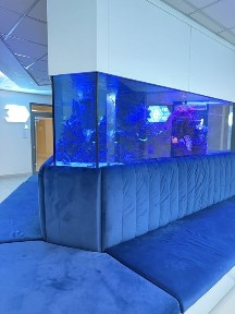 Одеса, Київський, Фонтанська дорога 118а