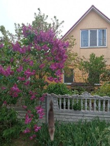 Продається красивий будинок з мансардою.