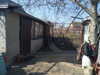 Дача возле леса Алтестово