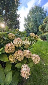 Одеська область, Одеса, Київський