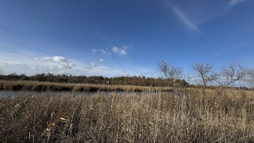 Будинок із берегом Самари