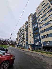 Харківська область, Харків, Шевченківський