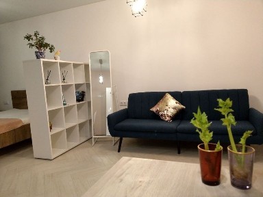 Київська область, Київ, Дніпровський