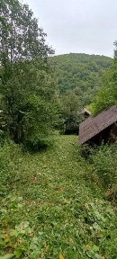 Продаж 3-х кімнатного будинку, в с. Віженка (Вижницький р-н).