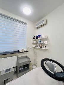 Київська область, Київ, Печерський