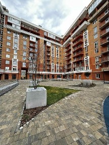 Чернівецька область, Чернівці