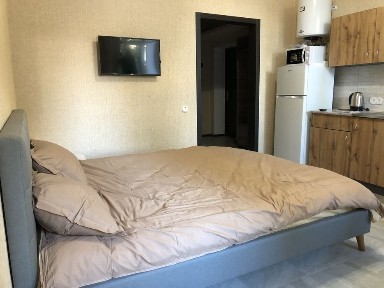 Харківська область, Харків, Шевченківський