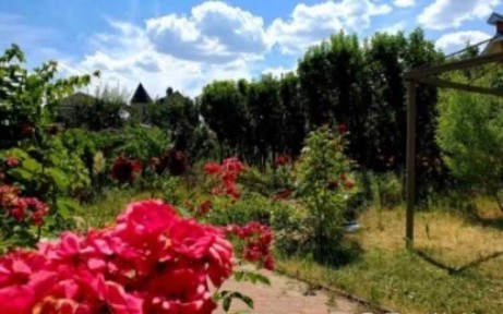 Дніпропетровська область, Підгородне