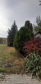 Продам будинок-дачу, р-н Ямбурга, с.Кам'янка з чудовим видом на річку