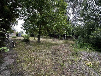 Продам дім с. Браниця Чернігівська об.