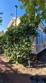 Затишна дача 40м² з ванною, барбекю та садом, поряд красиве озеро