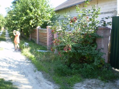 Будинок на два входа для двох сімей, чи одної великої Займище