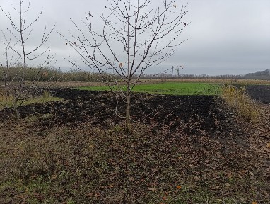 Продажа дома 86 м²