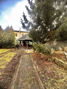 Будинок у Брюховичах в сосновому лісі із ділянкою 17 соток біля озера