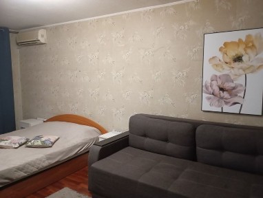 Мечникова Центр 1к на пр. Науки 3 - 700 грн в сутки