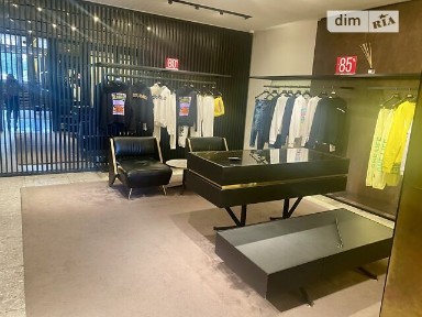 Басейна вулиця, мікрорайон Липки, район Печерський, Київ, метро Площа Українських Героїв (Льва Толстого), вул. Басейна, площа 211 кв. м • ID 33342360