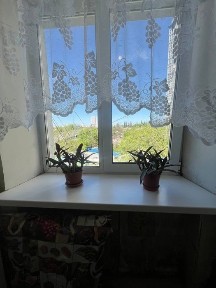 Дніпропетровська область, Дніпро, Індустріальний