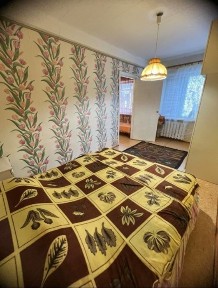 Дніпропетровська область, Кам'янське