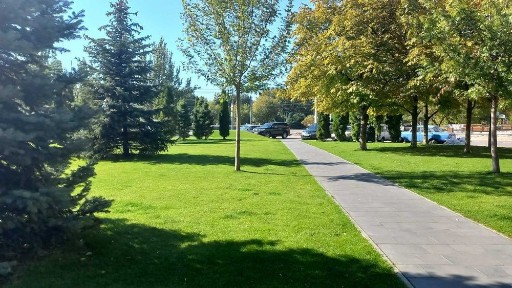 Дніпропетровська область, Дніпро, Амур-Нижньодніпровський