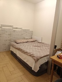 Київська область, Київ, Шевченківський