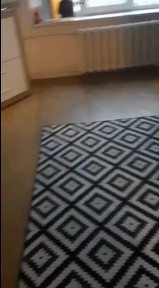 Київська область, Київ, Дніпровський