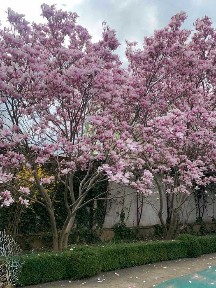 Одеська область, Одеса, Приморський