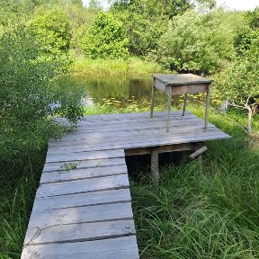 Відпочинок на безлюдному хуторі