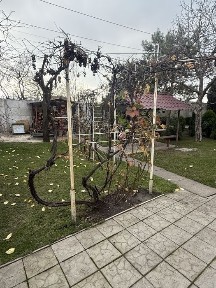 Дніпропетровська область, Дніпро, Індустріальний