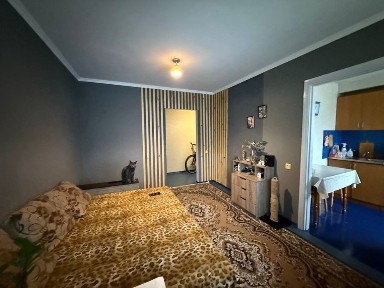 Житомирська область, Житомир, Польова