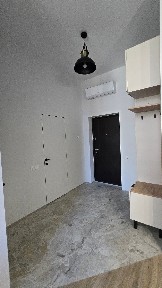 Аренда 1-комнатной квартиры 47 м², Александра Олеся ул., 17