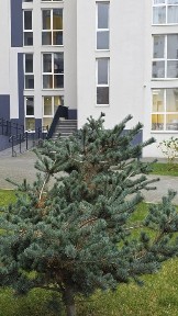 Продаж 2х кім квартири в стадії ремонту