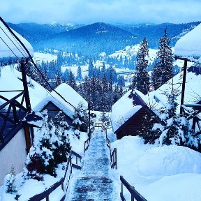 Оренда Будинок, дом, Котедж буковель сауна