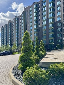 Київська область, Софіївська Борщагівка