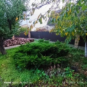 Вул. Вишнева. Всі П”ЯТЬ ! кімнат окремі. Сауна - баня ! Бомбосховище