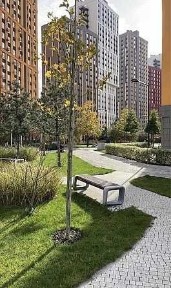 Київська область, Київ, Голосіївський