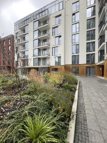 Львівська область, Львів, Галицький