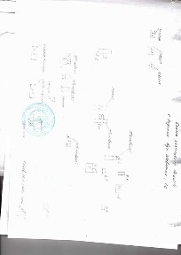 Майновий комплекс ( територія старої ферми)