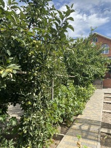 Продам дом пр. Слобожанский (начало) р-н Воронцова 80000$